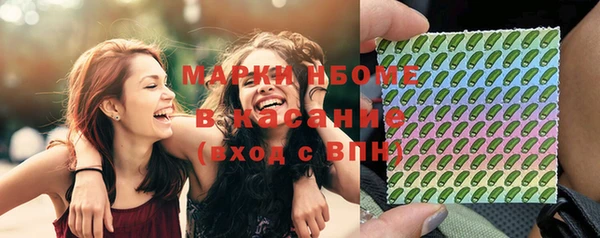 гашик Зеленокумск